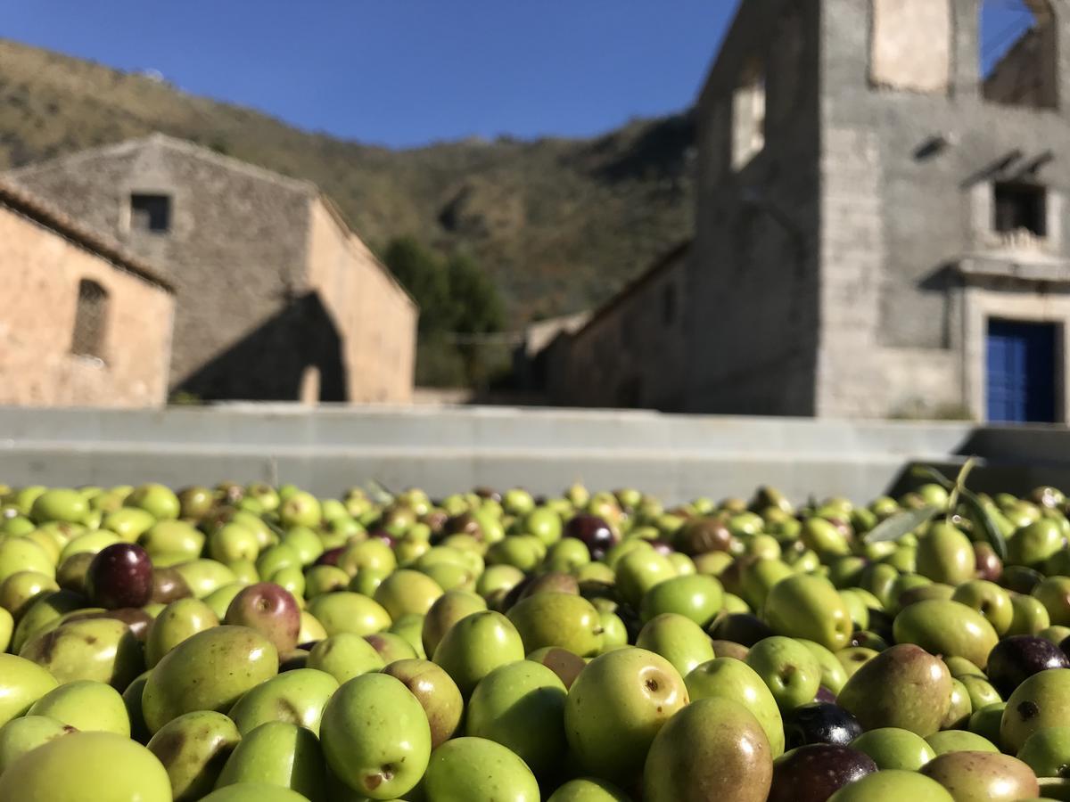 مبيت وإفطار Scillato  La Ferula المظهر الخارجي الصورة